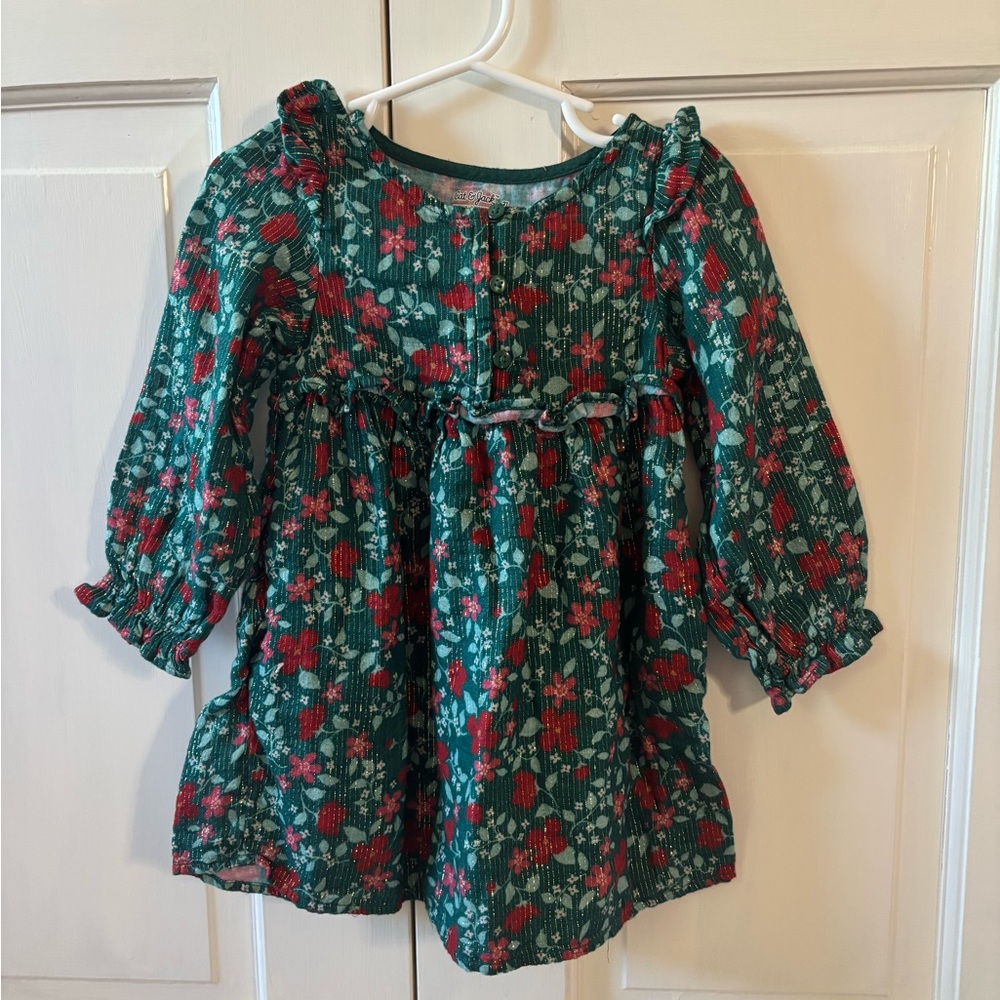 Cat & Jack Floral Green and Red Dress